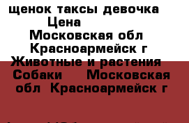 щенок таксы девочка. › Цена ­ 15 000 - Московская обл., Красноармейск г. Животные и растения » Собаки   . Московская обл.,Красноармейск г.